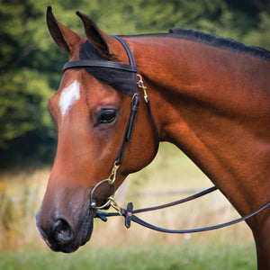 Premier Arabian Training Bridle
