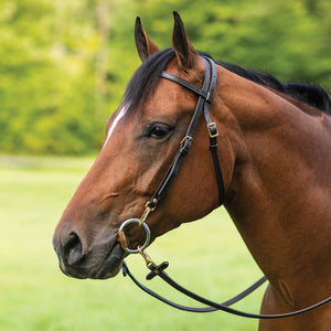 Billy Royal® Work Bridle