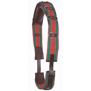 Premier Web/Leather Training Surcingle