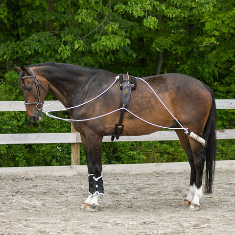 Advanced European Training System