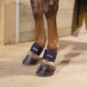 Schneiders® Magnetic Ankle Wraps (5 magnets)