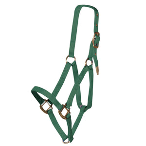 variant_image_green