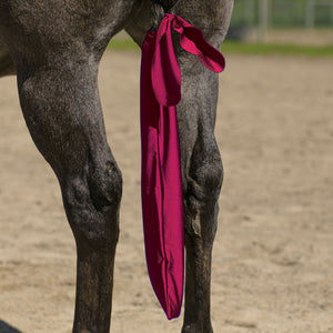 variant_image_burgundy