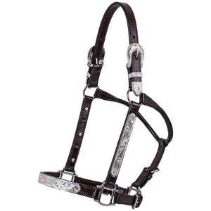 Billy Royal® Stella Fitted Show Halter