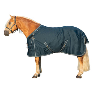 variant_image_merge_13013_blackgray