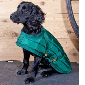 variant_image_merge_13258