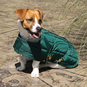 variant_image_merge_13258_hunter