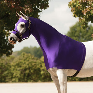 variant_image_purple