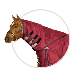 variant_image_merge_15001_burgundy