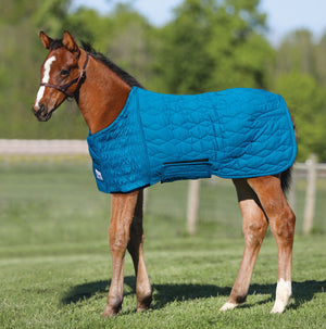 UltraFlex® Foal Saver® Lightweight Blanket