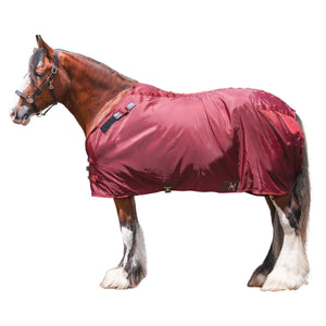 variant_image_burgundy