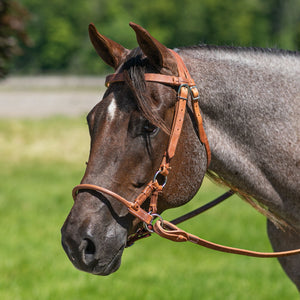 Schneiders® Rolled Nose Leather Side Pull