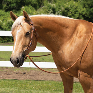 Schneiders® Oval Buckle Quick Change Browband Headstall