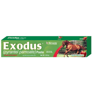 Exodus Paste