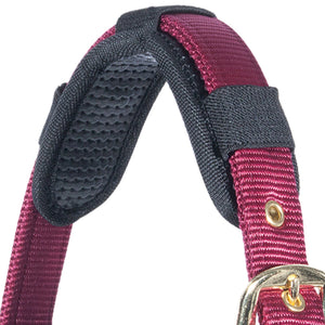 Dura-Tech® Magnetic Crown Piece