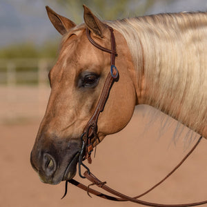 Billy Royal® Oiled Hermann Oak Leather Rolled One Ear Headstall