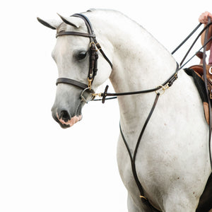 Victor Supreme Bob Hart Arabian Training Martingale