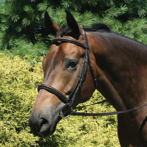 Premier Raised Padded Bridle