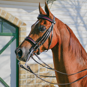 Pinnacle English Show Bridle