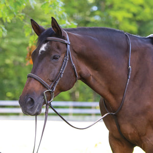 Pinnacle Standing Martingale