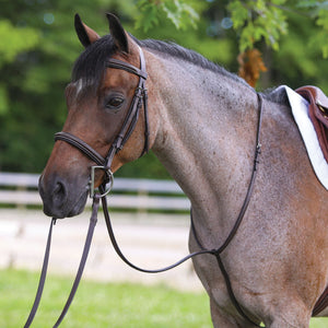 Premier Raised Fancy Stitched Standing Martingale