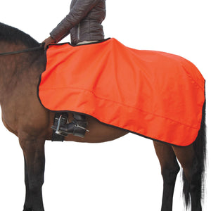 variant_image_orange