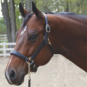 variant_image_blackwblack