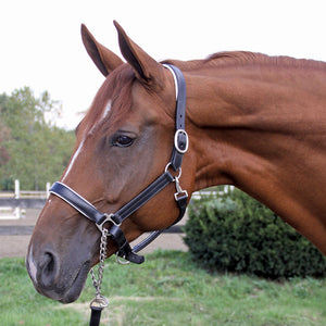 variant_image_blackwhite