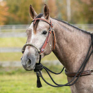 Schneiders® Futurity Bosal Headstall Set