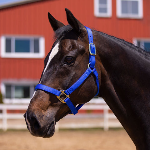 Weaver Non-Adjust Nylon Halter