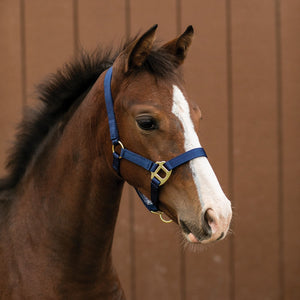Dura-Tech® Nylon Foal Halter
