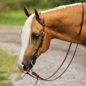 Billy Royal® Oiled Hermann Oak Performance One Ear Quick Change Headstall