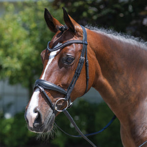 PASSIERBLU® Spirit Snaffle Dressage Bridle
