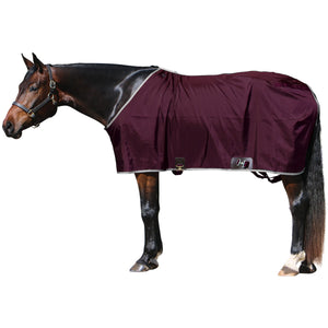variant_image_maroonsilver