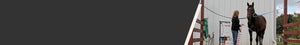 4000