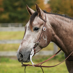 Billy Royal® Oiled Hermann Oak One Ear Quick Change Buckle End Headstall