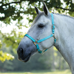 Dura-Tech® Draft Horse Nylon Halter