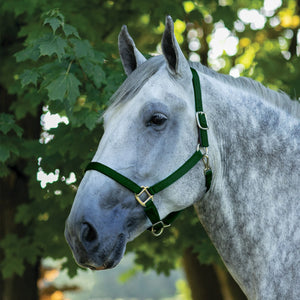 variant_image_huntergreen