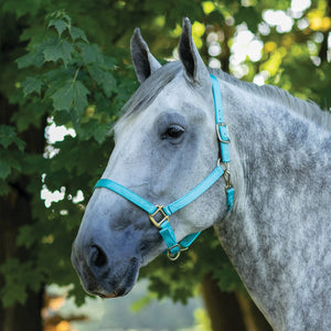 variant_image_turquoise