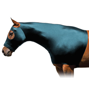 variant_image_teal