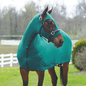 variant_image_teal