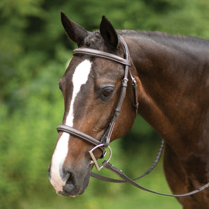 Pinnacle Comfort Plus® Hunter Bridle