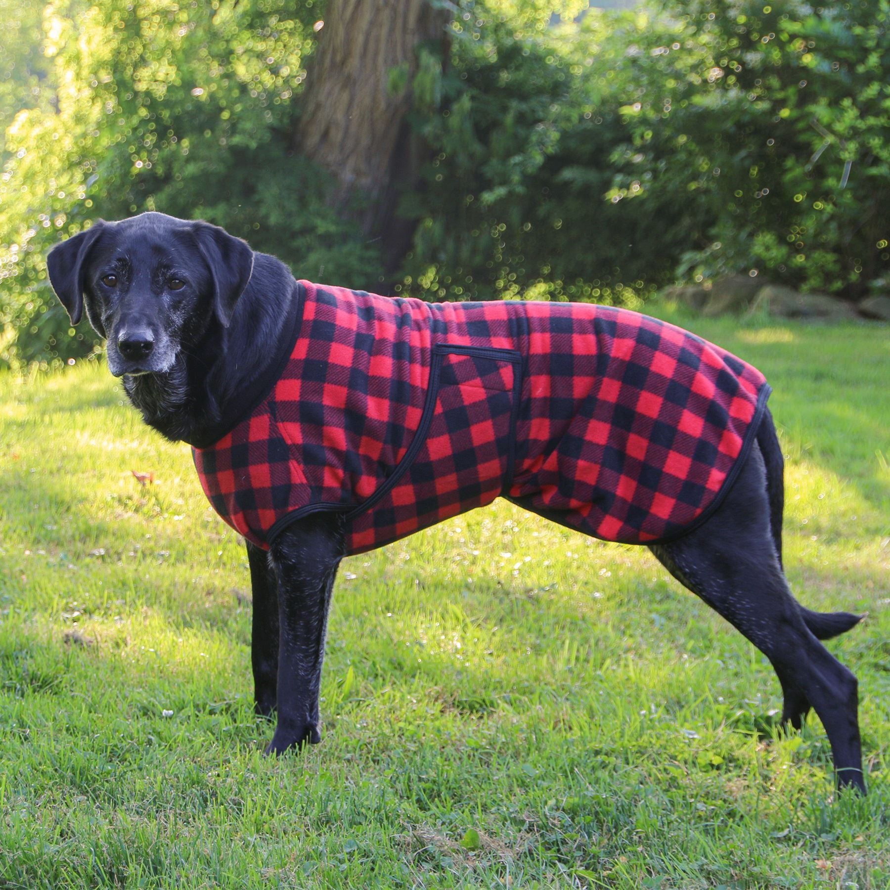 Dura-Tech® Buffalo Plaid Fleece Dog Coat