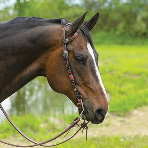 Schneiders® Tooled One Ear Headstall with Rawhide Accents