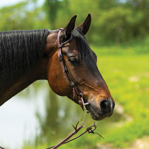 Schneiders® Harness Leather One Ear Headstall with Black Rawhide