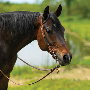 variant_image_lightoil