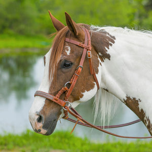 Schneiders® Harness Leather Decorative Nose Side Pull