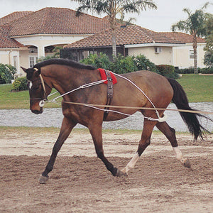 Pessoa Lunging System