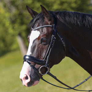 Joseph Sterling® Anatomic Snaffle Monocrown Dressage Bridle with Flash