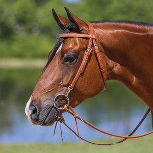 Schneiders® Browband Training Bridle with Quick Change Snaps